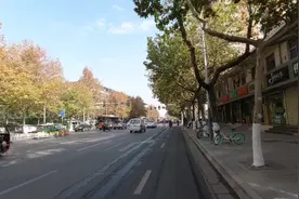 实拍宝鸡市容市貌，这条路全是高大的梧桐树，感觉走到了小树林