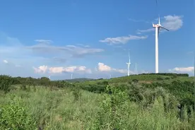 若干年后，平顶山市区北部山系会不会成为真正的森林公园？视频封面
