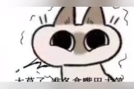 更多搞笑表情包关注VX公众号：超火表情包视频封面