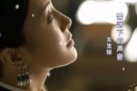 极好听女生版《雪落下的声音》回味经典【延禧攻略】视频封面