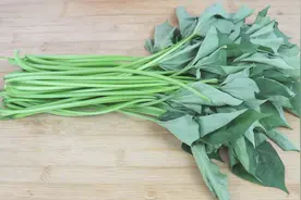 红薯秧最好吃的做法，不丢叶不去梗，清脆爽口，好吃到停不下来！