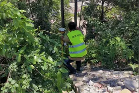 边坡塌陷的原因是什么啊?如何防治?大家一起来了解下视频封面