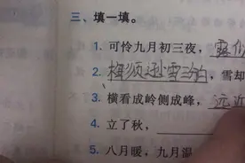 四年级语文作业哦😝😝😝😝视频封面