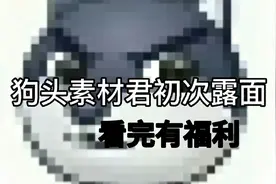 来做一个简简单单的狗头表情包（视频有福利）视频封面