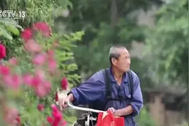 七旬老人千里寻妻：余生只为找到你视频封面