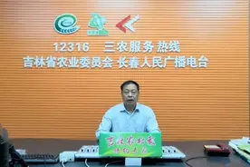 12316专家侯海良：作物受灾先自救，最终查勘定损要等九月中下旬视频封面