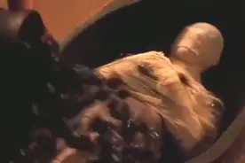 进来看看这个是什么电影?木乃伊盖上厚厚的爬虫然后密封起来！！视频封面