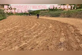 靠天吃饭的地理环境，看看怎么样种小米的吧，小伙伴们齐上阵视频封面