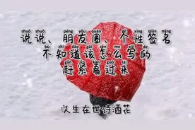 说说朋友圈个性签名，一句搞定，有没有你需要的或者留下你想说的