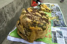 一百块钱一斤的野生石蜜，有没有人认识，听说吃了对身体好