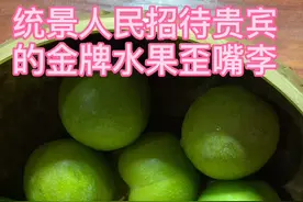 统景人民招待贵宾的金牌水果—歪嘴李