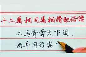 【河北木子硬笔】12属相相同属相婚配俗语，你收藏了吗视频封面