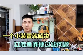 鱼缸底部有粪便过滤不掉怎么办？影响水质又不美观，今天解决它视频封面