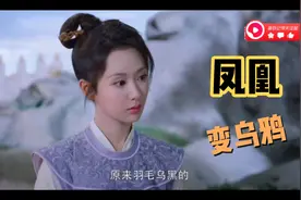 凤凰涅槃变烧焦的乌鸦视频封面