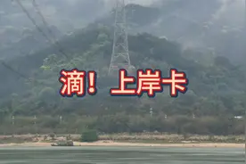 事业单位扩大招聘规模，大四学生在家坚持刷题打卡公职类考试视频封面