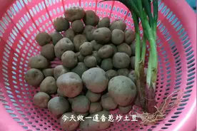 土豆最好吃的做发，1斤土豆几条葱，小伙一口一个，做发超简单