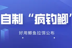 饵料：好用又专业的鲫鱼拉饵，详细制作过程和配方公布视频封面