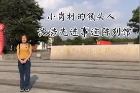 小岗村的领头人，人民的好书记，是他带领小岗村走向今天的繁荣视频封面