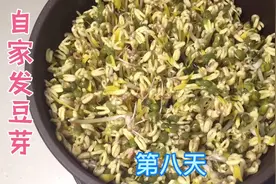 自家发豆芽为什么长根了？请大家给我提建议，怎样才能无根栽培？视频封面