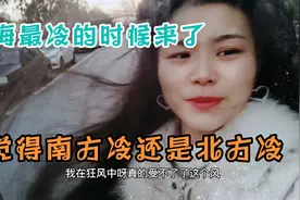上海最冷的时候来了，你觉得南方冷还是北方冷，我在奉贤靠海边视频封面
