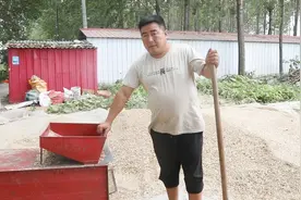 养鹅喂饲料太贵？喂这种料更实惠，农村老张教你该如何搭配！视频封面