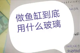 做鱼缸用什么玻璃，钢化玻璃做鱼缸怎么样，多大鱼缸用多厚玻璃？视频封面