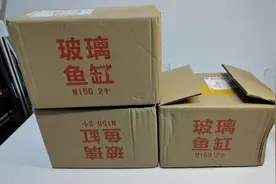 15块钱一个的超白玻璃鱼缸，一次买了6个，这么便宜还有赠品视频封面