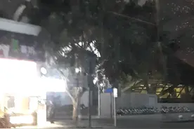 成都老的市中区变化也大，没来过的可了解一下