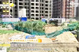 西安红星美凯城停工多时，工地现场已经成了菜地，鸡鸭鹅到处乱跑视频封面