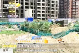 西安红星美凯城停工多时，工地现场已经成了菜地，鸡鸭鹅到处乱跑视频封面