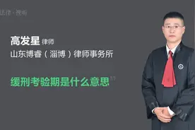 缓刑考验期是什么意思视频封面
