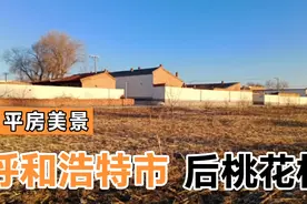 呼和浩特市后桃花村平房视频封面
