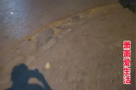 一个人独自散步，为什么都没有人愿意陪？