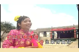 金碟豹 八大巨星 霸气如虹迎新年 DVD高清版part6