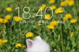 vivo手机怎么设置自己喜欢的壁纸，我教你一招。