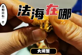传说法海被关在螃蟹里！一起来探探法海被关在大闸蟹的哪里吧。视频封面