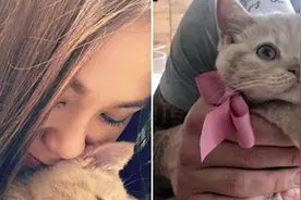 蔡健雅与法籍男友三度复合 大方晒其抱爱猫照片视频封面