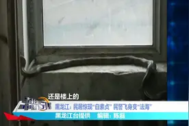 民居楼中惊现“白素贞”，民警变“法海”擒蛇视频封面