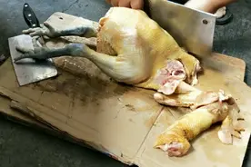 梅子杀了只5斤大土鸡，用火锅底料做了啤酒烧鸡公，看起直流口水视频封面