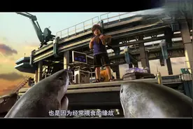 男孩从小喂养鲨鱼，鲨鱼知恩图报，将他抚养长大