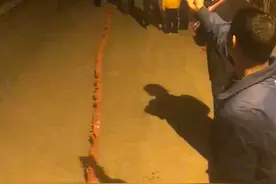 佛山顺德土豪村小布村每股分红98万，村民烧鞭炮庆祝！一家最多接视频封面