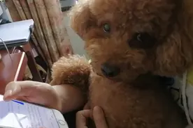 姐姐抱着很舒服视频封面