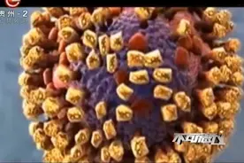 不可思议：饭后碗不洗，过了四天似毒药？竟然有这种说法？视频封面