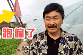 农村大叔种蔬菜大棚，自动升降机容易跑偏，调正一次真费劲视频封面