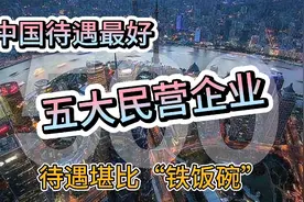 中国待遇最好的五大民营企业，待遇堪比“铁饭碗”，选什么专业？