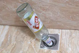 下水道口插一个啤酒瓶，真是厉害，搞定了家家都困扰的难题，实用视频封面
