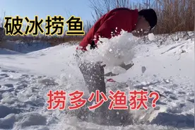 小张十六年没砸鱼了，看看今天能砸多少鱼，大型翻车现场版。视频封面