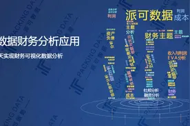 派可商业智能 BI 介绍视频封面