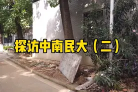 高校君vlog探访中南民大，南湖风景独好