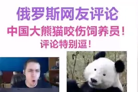 俄罗斯网友评论，中国大熊猫，咬伤饲养员！视频封面